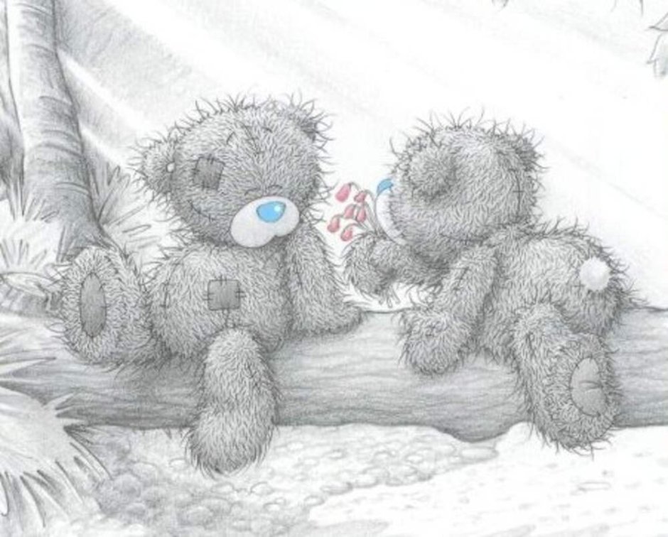 Мишки Тедди любовь