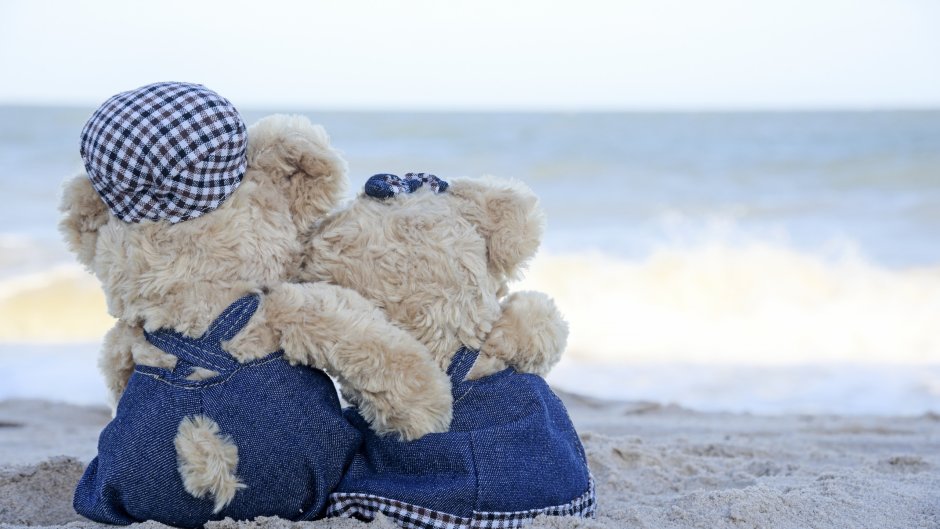 Плюшевый мишка на море