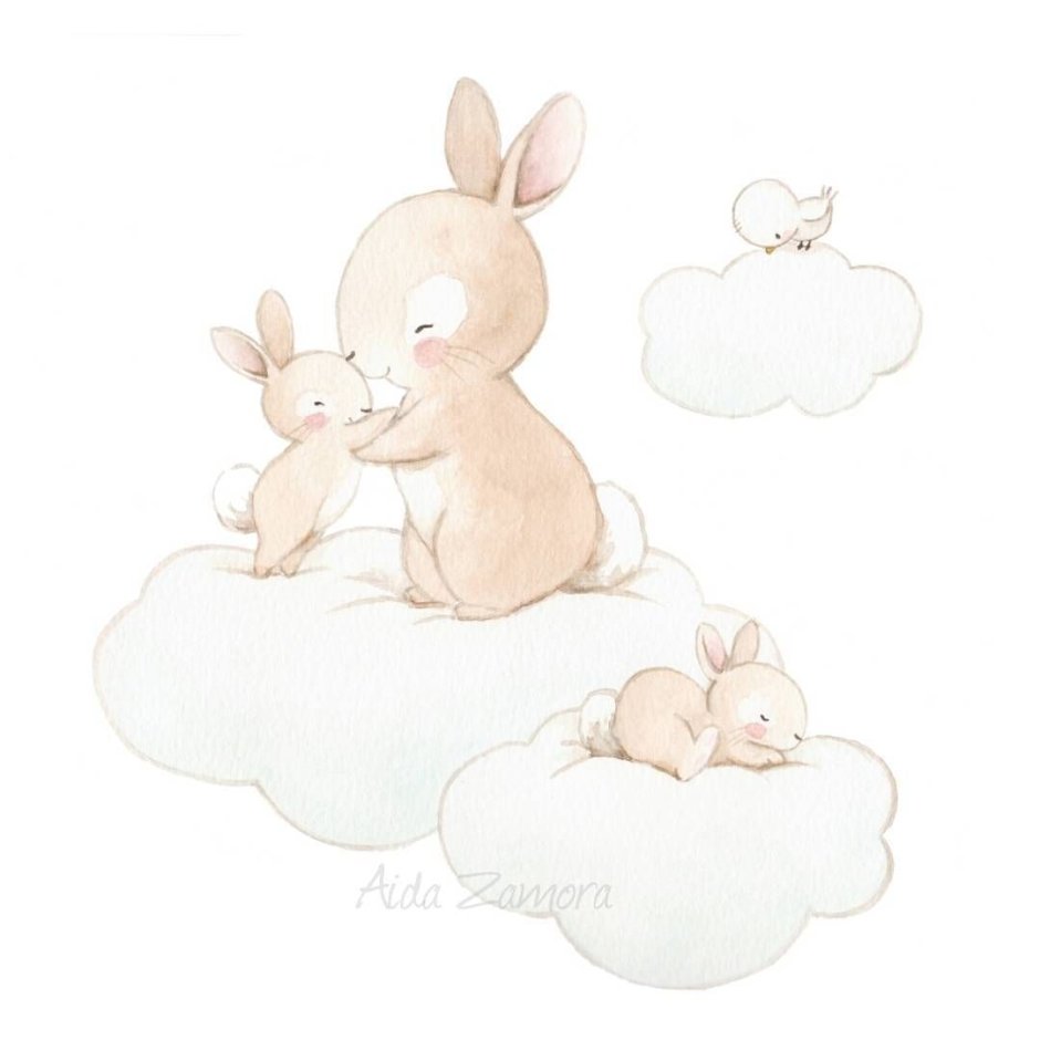 Аида Замора зайки