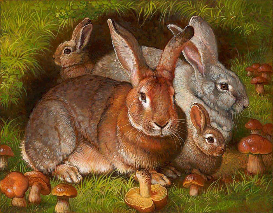 Картина кролик Яна Мовчан