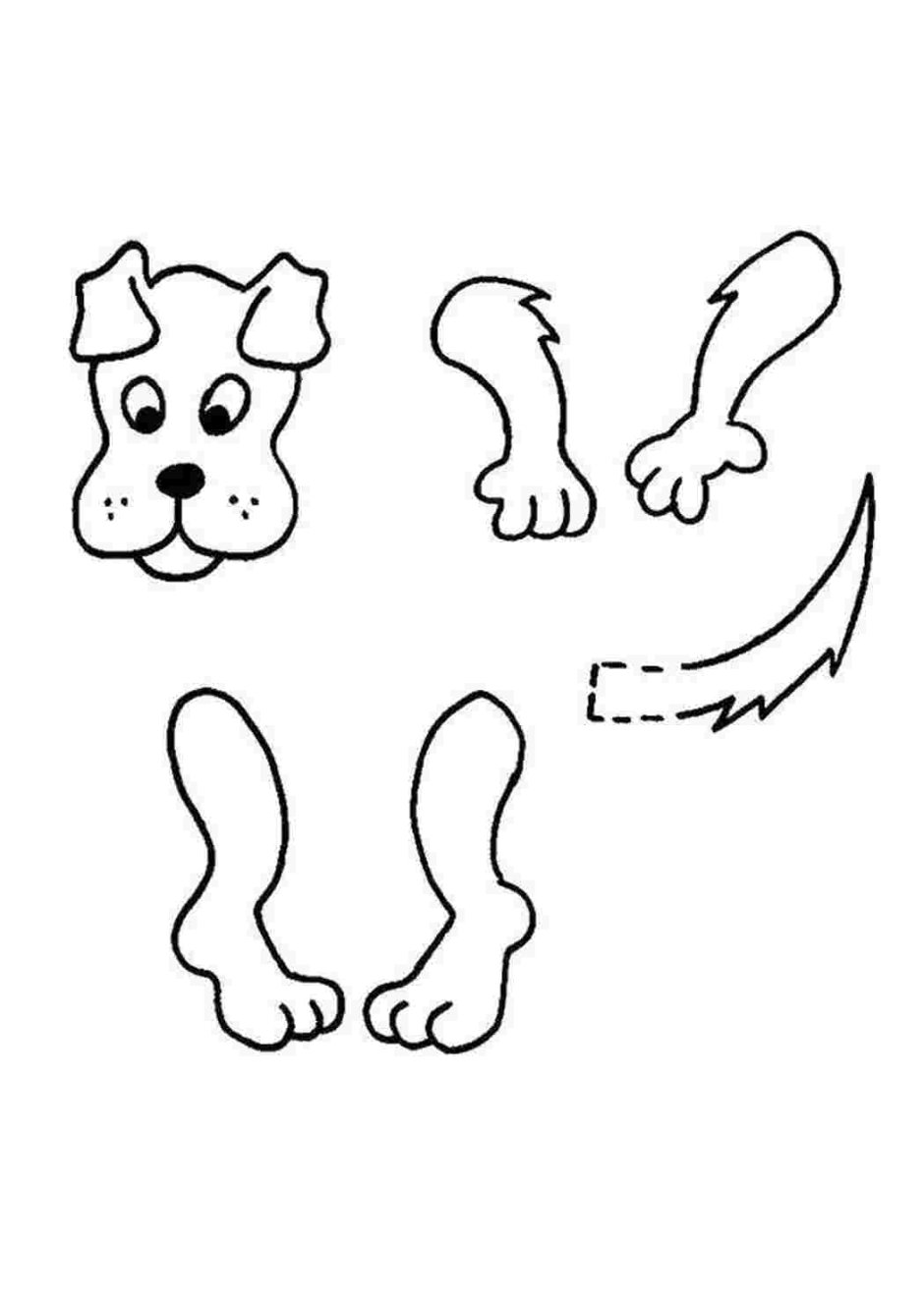 Части тела животного для детей