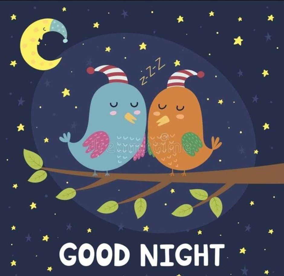 Good Night .птички