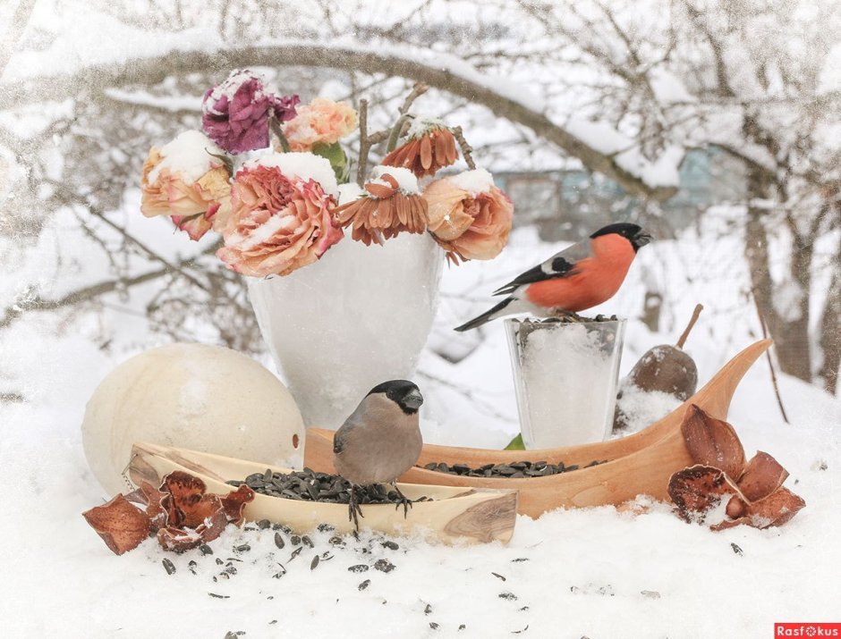 Зимний натюрморт