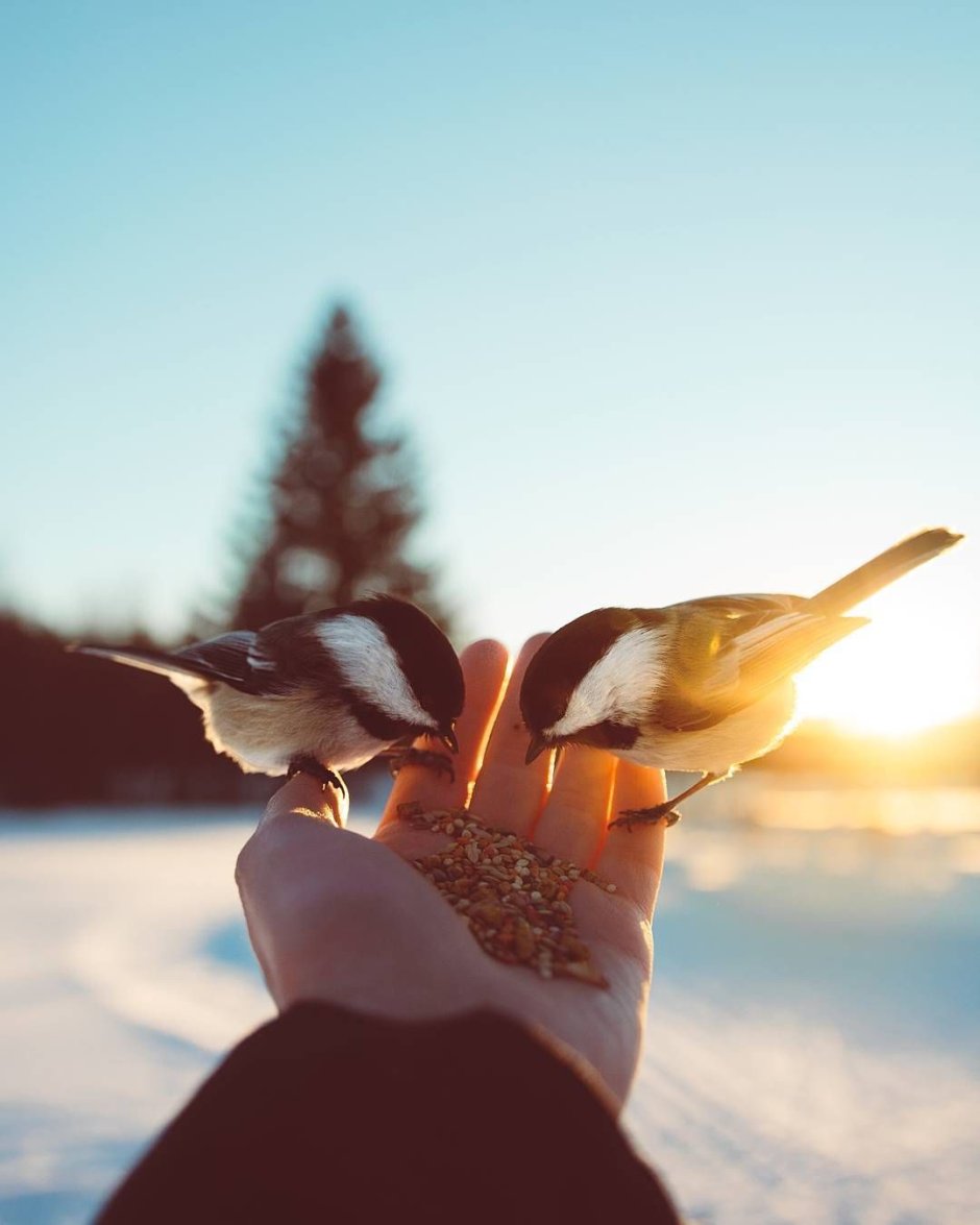 Человек который радуется счастью других всегда