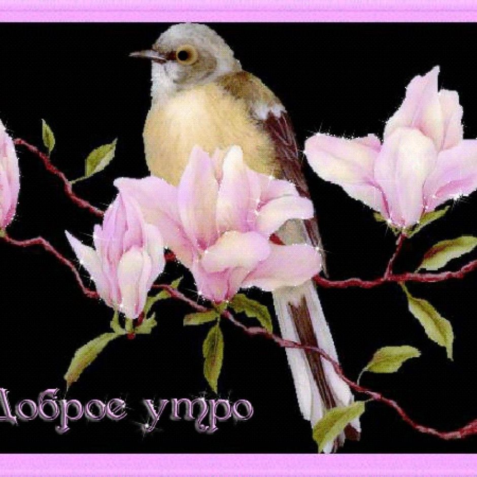 Доброе утро с птичками