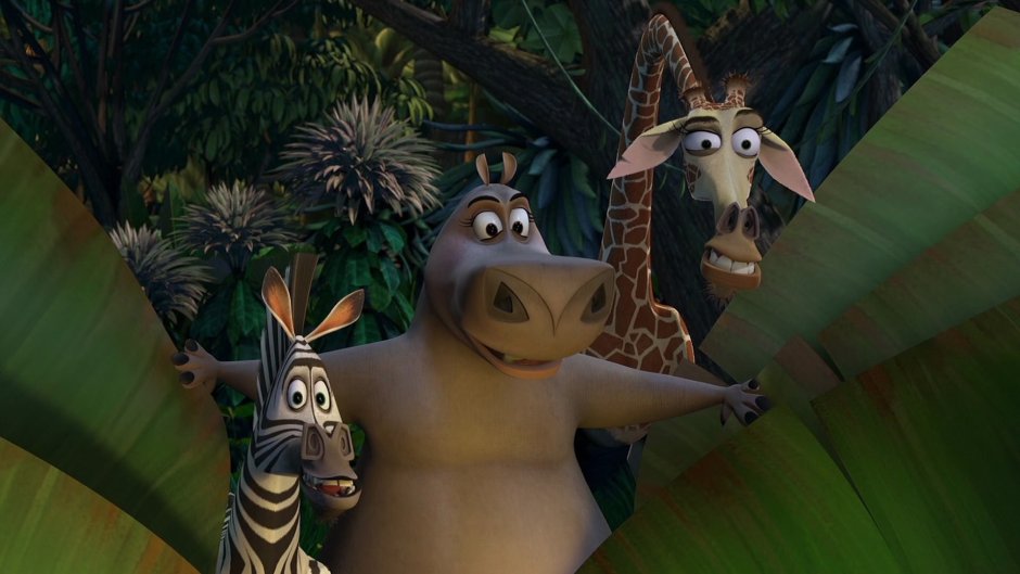 Мадагаскар 1 Глория