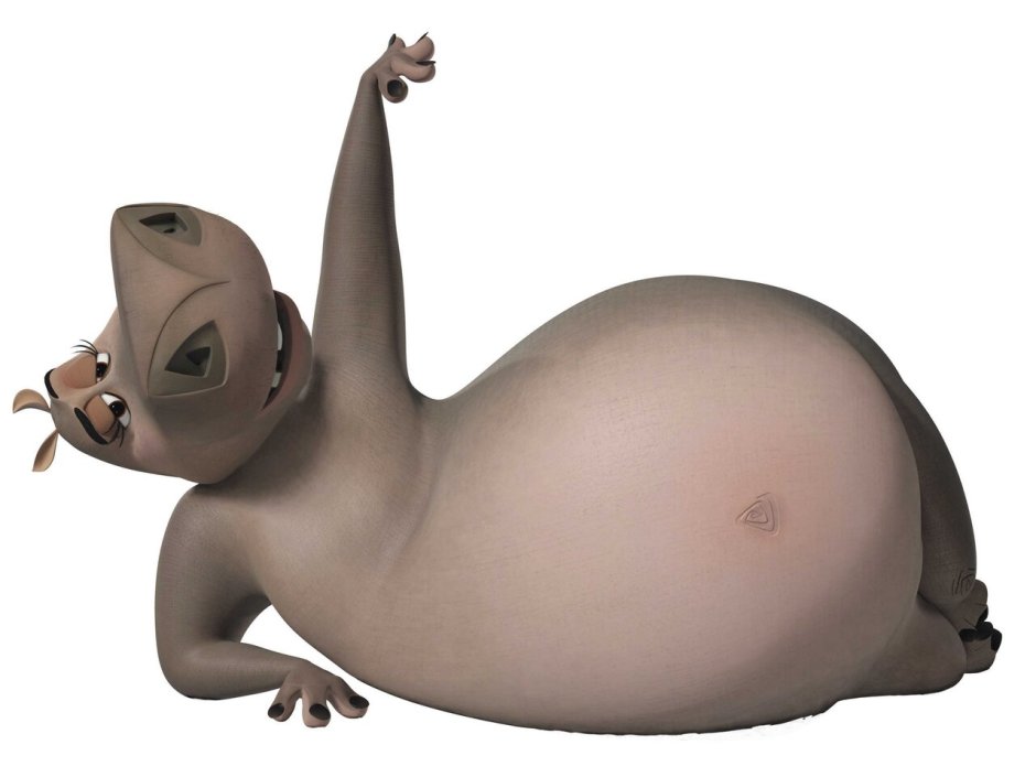 Мадагаскар бегемотиха Глория