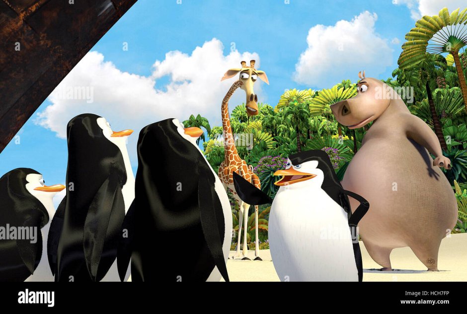 Мадагаскар 2005 пингвины