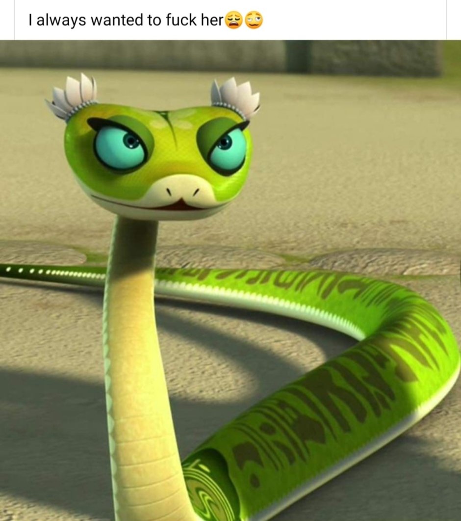 Мастер гадюка кунг фу Панда