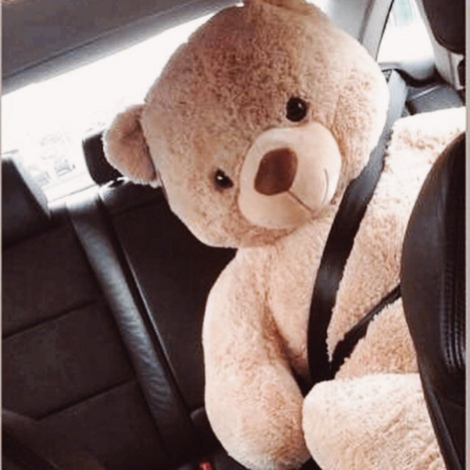 Большой плюшевый мишка в машине