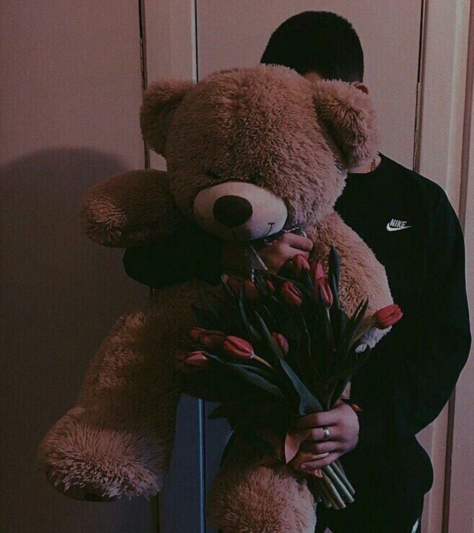 Плюшевый мишка сохры