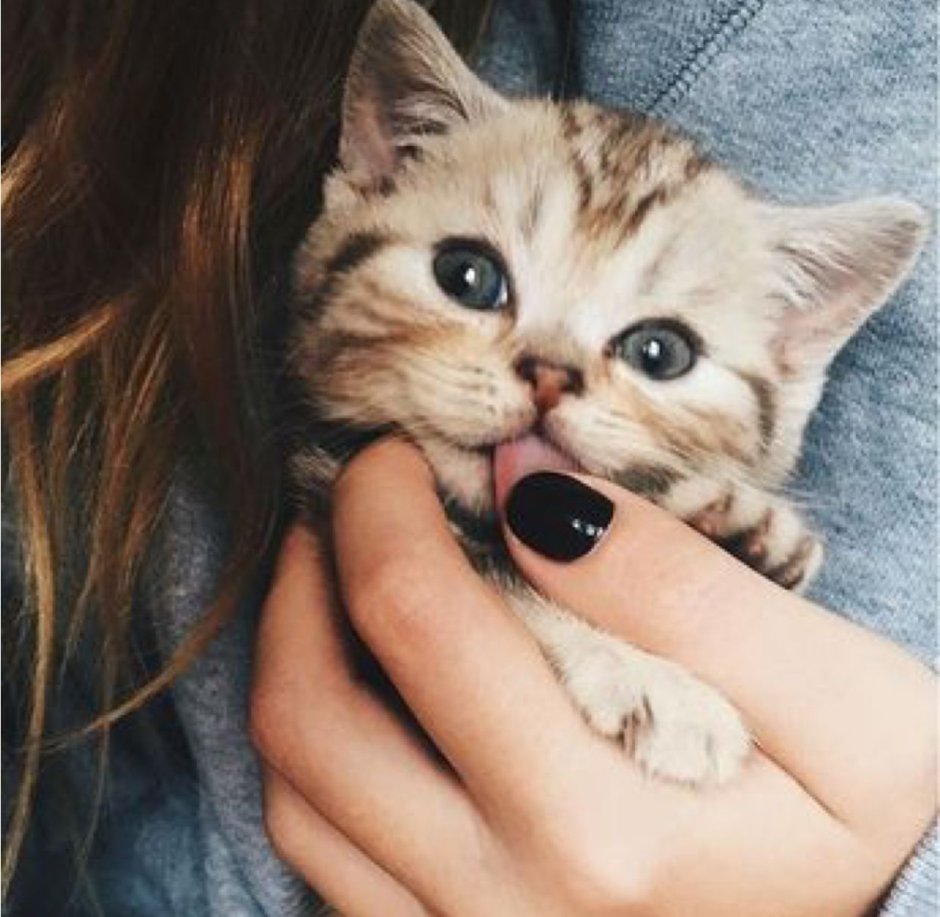 Милые фоточки