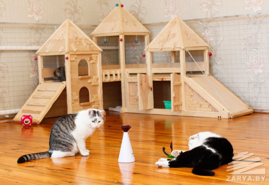 Дом Анука давайка