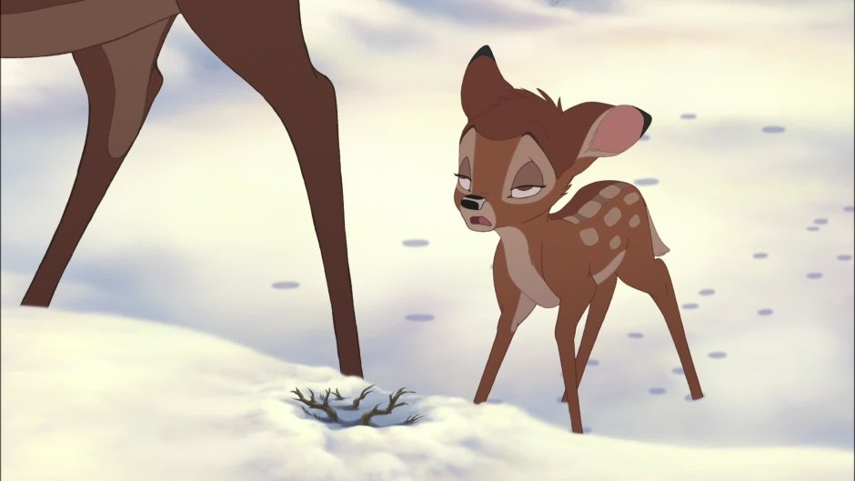 Бэмби и Фэлин