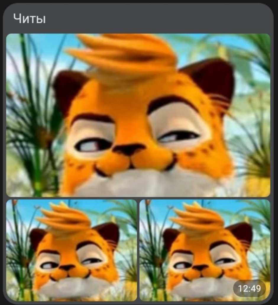 Киара Лео и Тиг