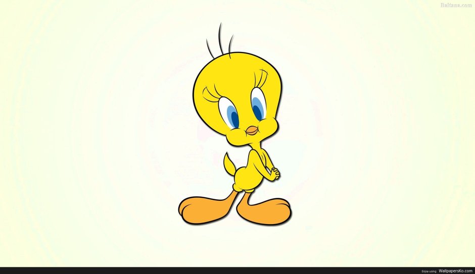 Твитти канарейка