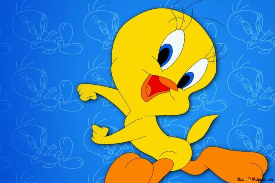 Твитти канарейка мультфильм