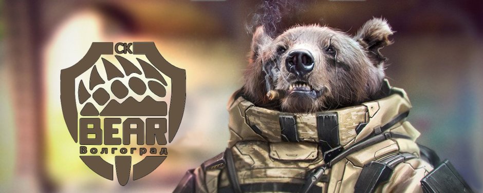 Медведь в военной форме