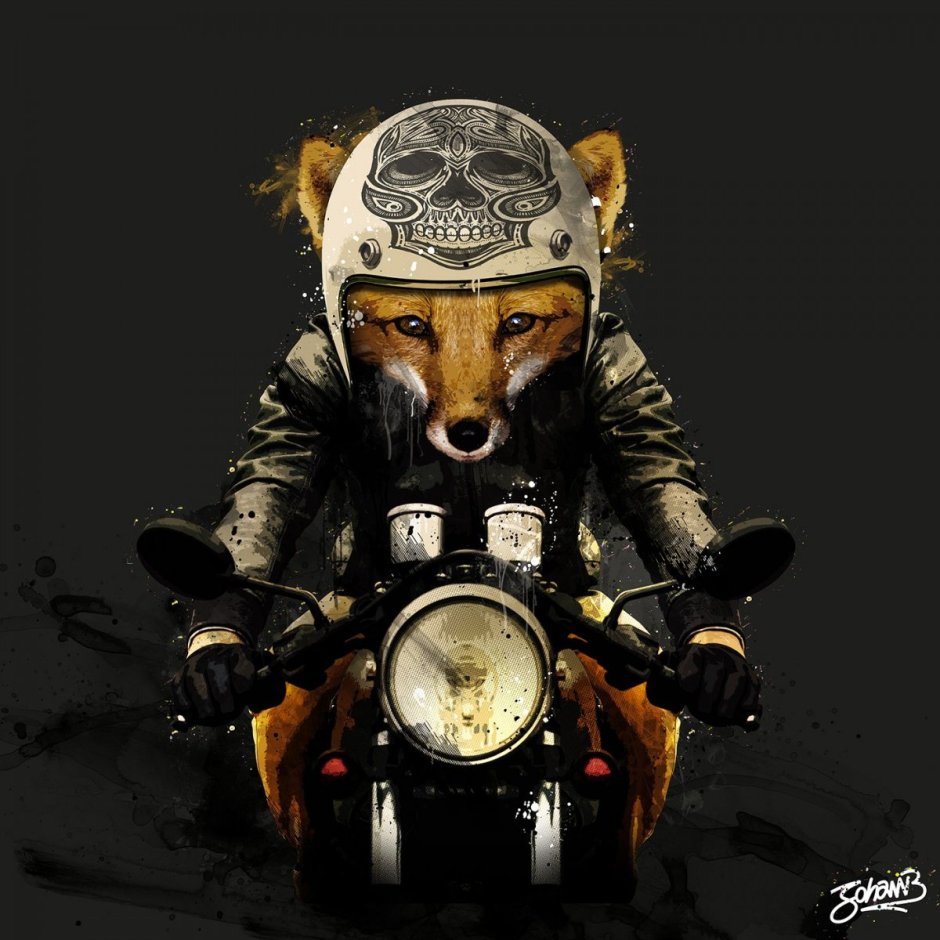 Лис в каске