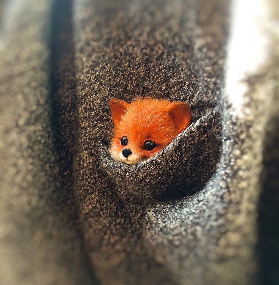 Доброе утро Лисенок