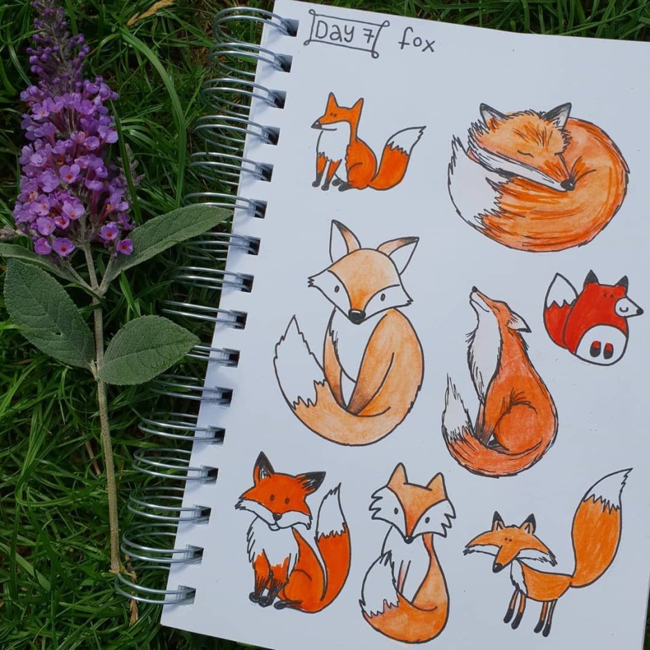 Животные для скетчбука лёгкие