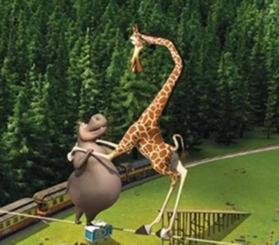 Мелман и Глория из Мадагаскара