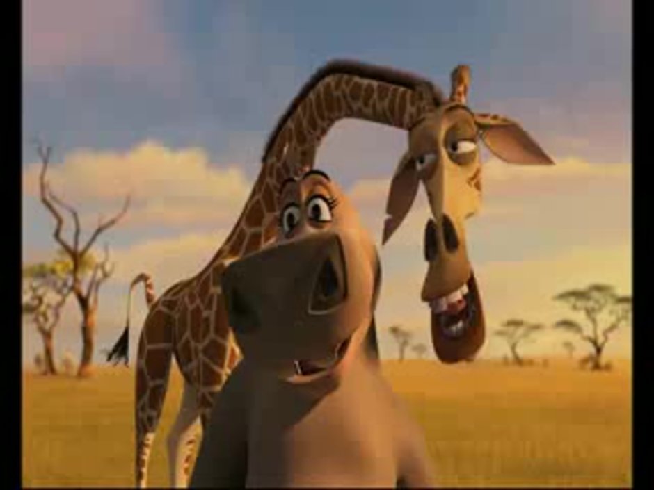 Бегемот Глория и Мелман