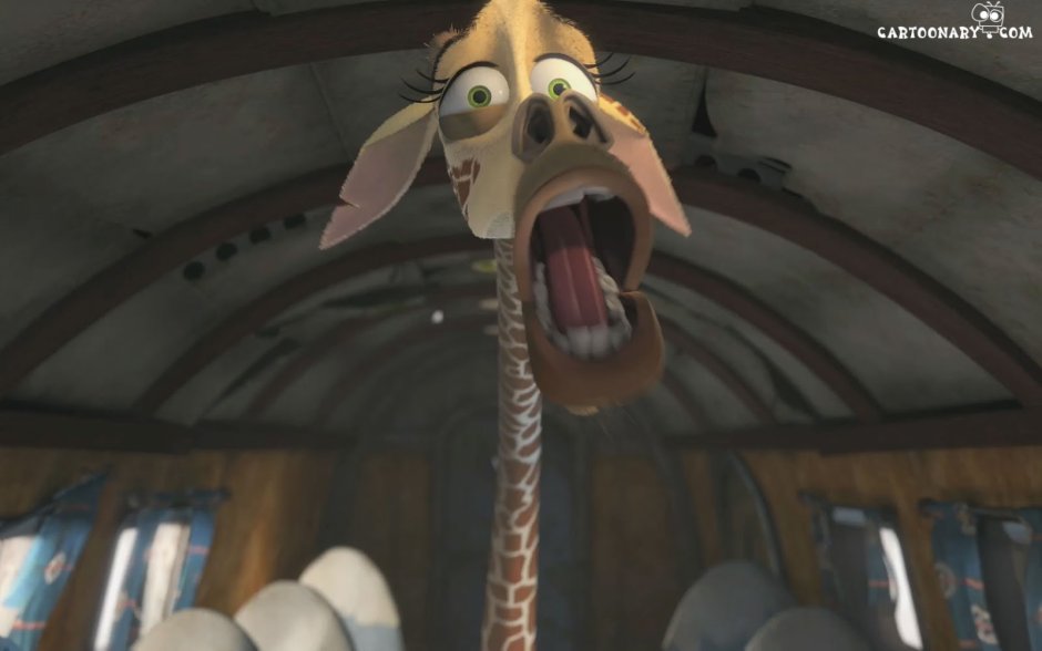 Мадагаскар Мелман доктор