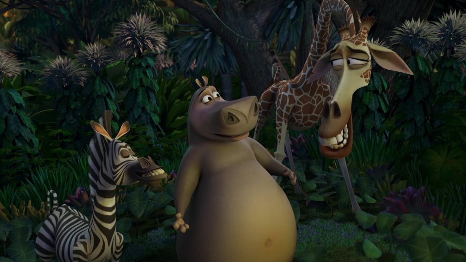 Мадагаскар 2005 Мелман