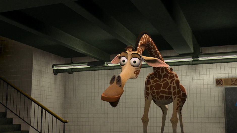 Жираф Мелман из Мадагаскара