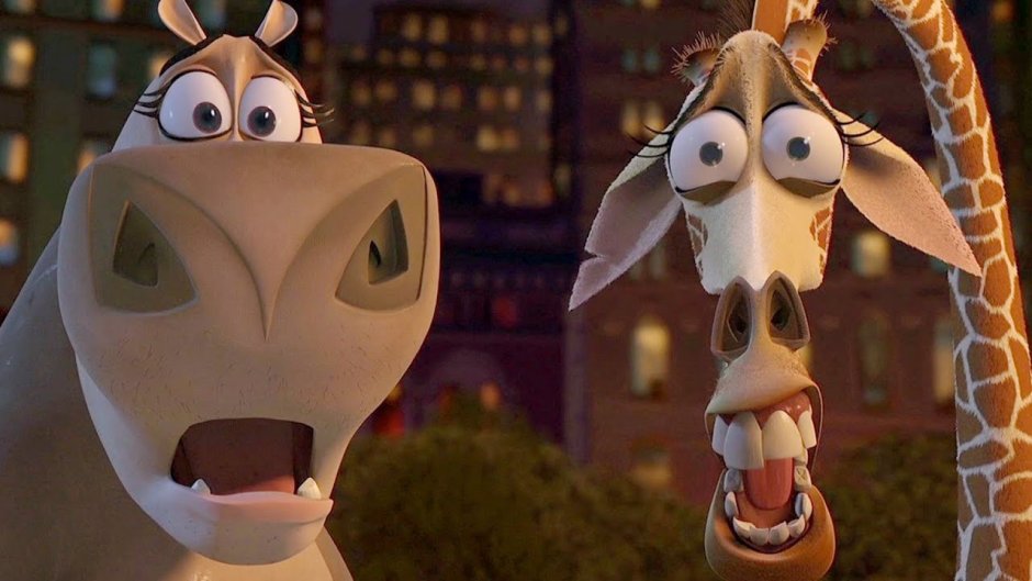 Мелман из Мадагаскара врач